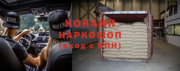 дурь Бородино