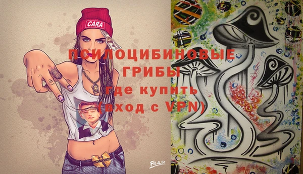 дмт Бугульма