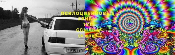 твердый Бронницы