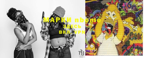 дурь Бородино