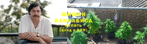 дурь Бородино